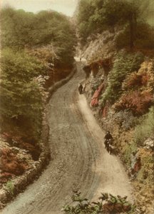 Lynton Hill od English Photographer